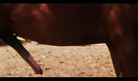 Remaja anak janda montok jepang tiri Magang