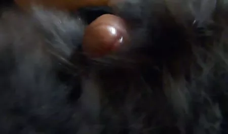 Kulit bokep jepang toge montok hitam Cewek cantik Chanel Bryant mendapat dipaku dengan beberapa putih dick