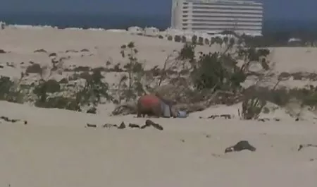 Saya kotor hobi - teen gets fucked and tante montok japanese Creamed